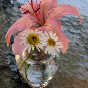 Meet your Posher, Carol